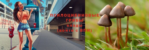 спайс Пролетарск
