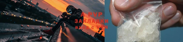 ГАЛЛЮЦИНОГЕННЫЕ ГРИБЫ Приозерск
