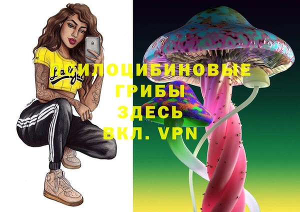 ГАЛЛЮЦИНОГЕННЫЕ ГРИБЫ Приозерск