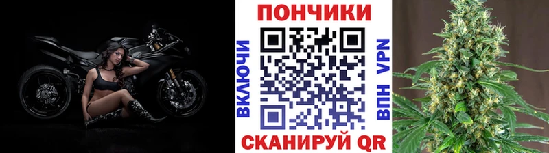 Марихуана сатива  Болотное 